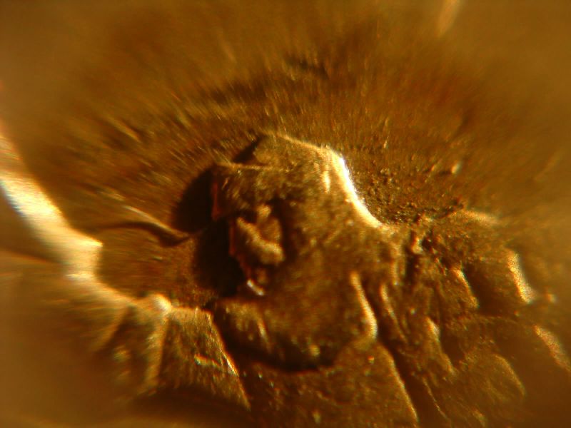 10_ct3