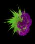 Fractal 4