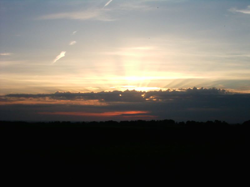 saule2